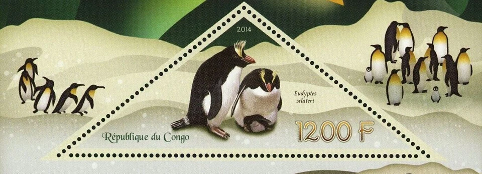 Hoja de recuerdo de fauna marina congo penguin eudyptes sclateri como nueva Foto 4 de 4