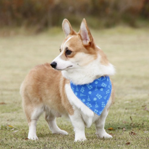Dogs Double Layer Triangle Scarf Pets Bandana Party Bib Adjustable Buckles Sweet - Picture 11 of 14