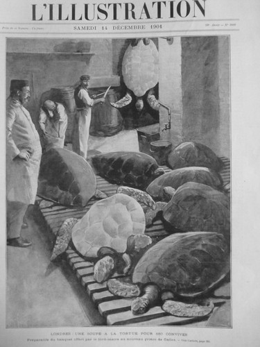 1872 1901 Turtle Fishing Kitchen Ornament 8 Antique Newspapers - Picture 7 of 8