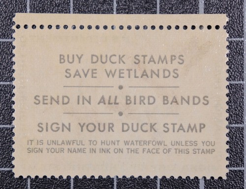 Scott RW38 1971 $3.00 Duck Stamp MNH PSE Cert 90 SCV - $85.00 - Picture 2 of 3