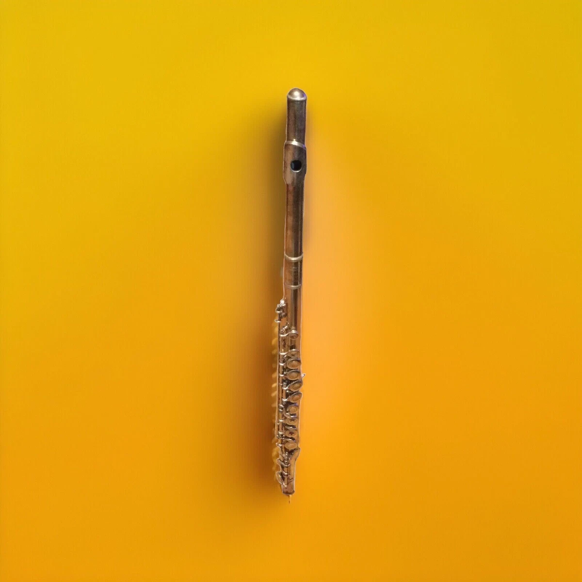 Buescher Beginner Flutes for sale | eBay