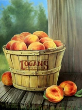 BASKET OF PEACHES PICTURE  FRUIT COUNTRY BASKET L. TRIESCH UNFRAMED PRINT 16X20
