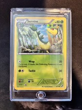 Servine - (Cracked Ice Holo) 3/114 Miscellaneous Cards & Products Holo