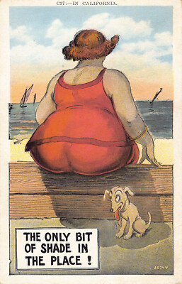 Only bit of Shade in the Place Comic Novelty Humor card funny slapstick linen
