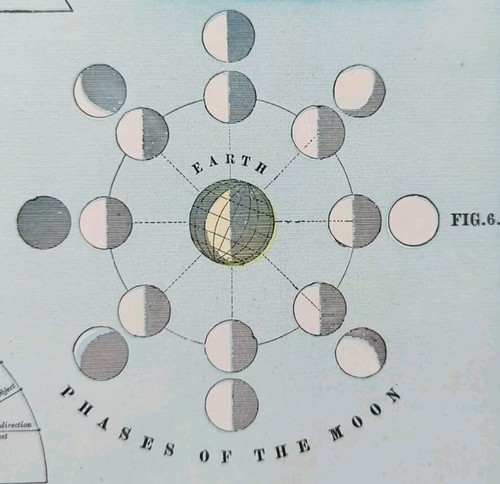 Vintage 1900 ASTRONOMICAL CHART Map 14"x11" Old Antique Original MOON PHASES - Picture 7 of 11