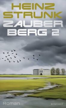 Zauberberg 2: Roman | Todtraurig. Todkomisch. Heinz... | Buch | Zustand sehr gut