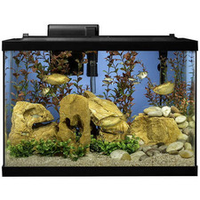 Tetra Aquarium, 20 Gallon, Complete Tropical Fish Tank Kit with LED Lighting and