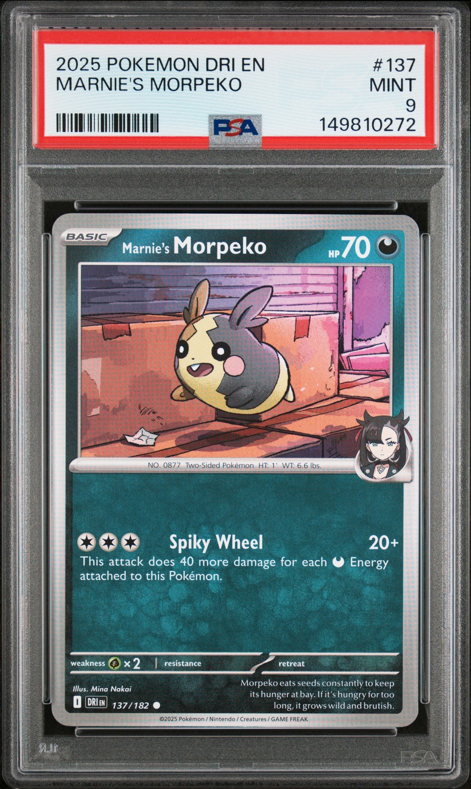 Marnie's Morpeko #137