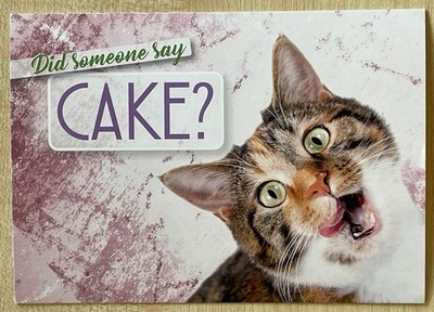 POSTKARTE Anlasskarte Geburtstag Katze Kuchen Did someone say cake