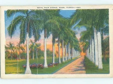 Bent Linen TREES ALONG ROYAL PALM AVENUE Miami Florida FL hs3606