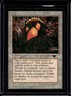 1994 Magic MTG Antiquities Mishra's Workshop