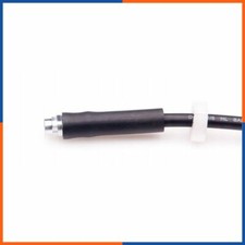 Flexible de frein Peugeot 806