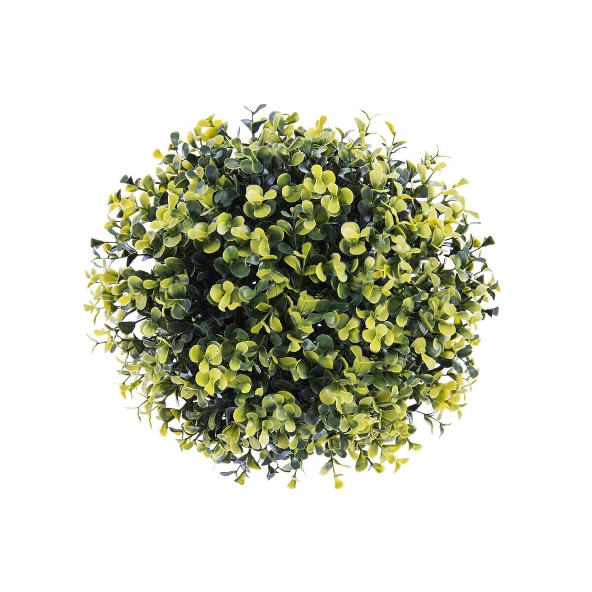 Decorative Plant   Ball Spring 20 X 20 X 20 Cm NUOVO