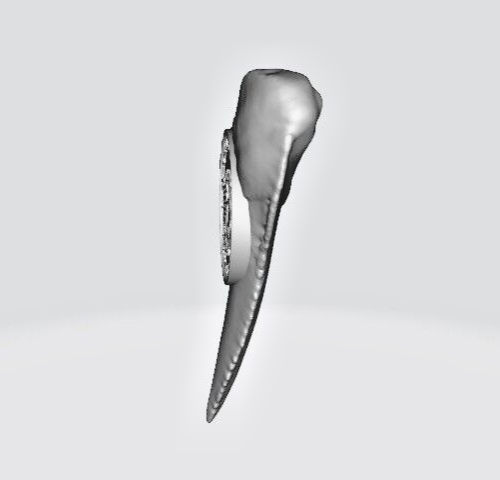 2025 5000franc Tchad 50th Anniv Edition Shark Tooth, 1oz 999
