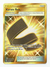 Karate Belt - 252/236 - Secret Rare - Unified Minds - Pokemon Card on eBay
