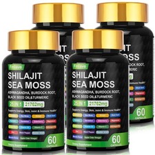 4x Sea Moss, Black Seed Oil, Ashwagandha, Turmeric Ginger Shilajit Burdock 240ct
