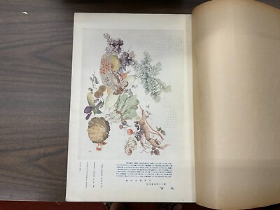 International Graphic Japanese Vintage Magazine Color