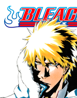 Bleach Vol 49 Cover Art - 11x17