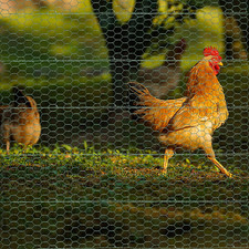 Floral Chicken Wire Roll, Galvanized Steel Chicken Wire Mesh for Crafts, 4 x...
