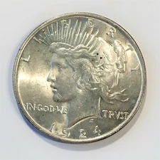 1924 Peace Silver Dollar - High Quality Scans #M771