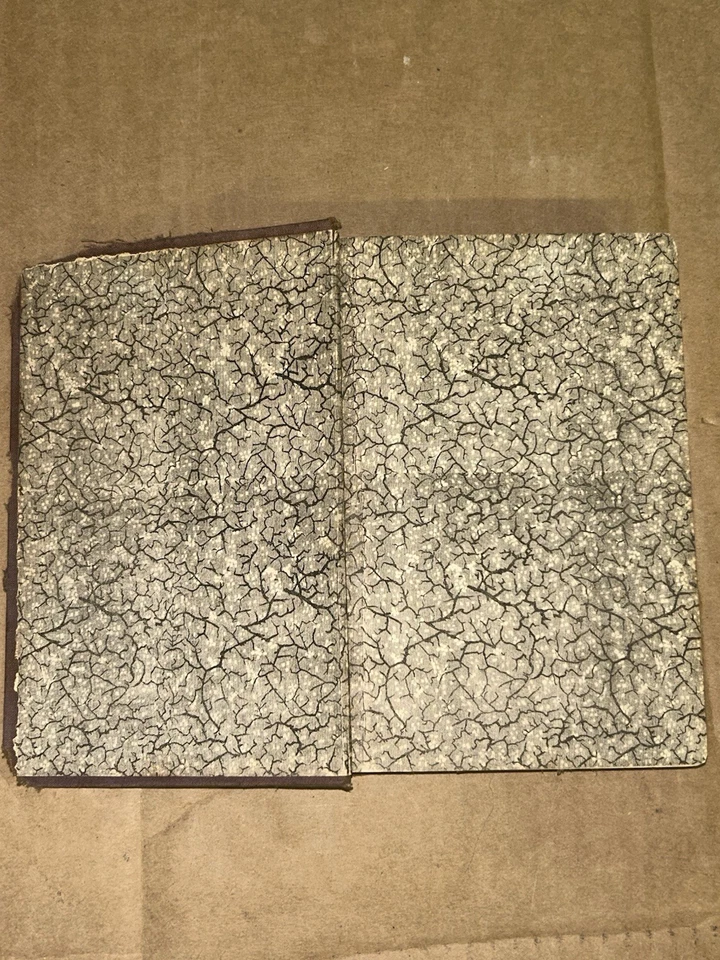 1875 Life & Adventures of Robinson Crusoe by Daniel Defoe Illustrated Edition - Image 4 of 4