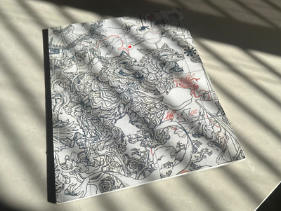 #ad JAMES JEAN PARALLEL LIVES 2013 Book Signed Limited 1st Edition #601 1000 $175.00