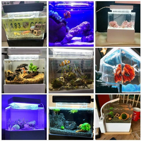 1L Mini Aquarium Komplett set Dekoration mit LED Beleuchtung Pumpe & Filter - Bild 3 von 24