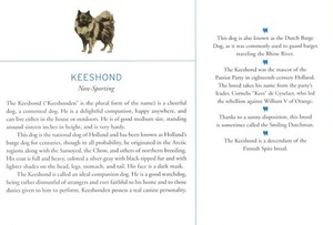 Keeshond - CUSTOM MATTED Dog Art Print - Breed Description and History
