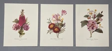 Pierre-Joseph Redoute Prints Botanical Flower Garden (Lot of 3 Prints) #40,34,46