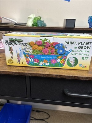 Little Planters Fairy Flowers Paint Plant and Grow Kit