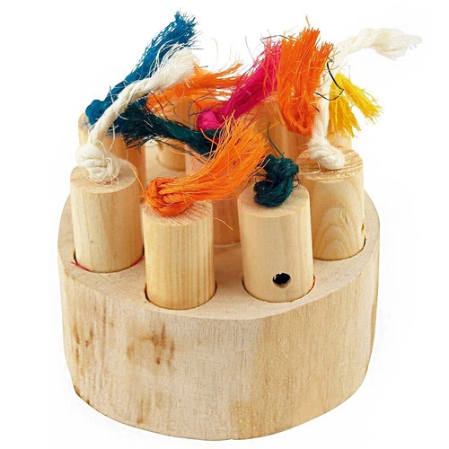 Hide and Treat Puzzle Parrot Toy