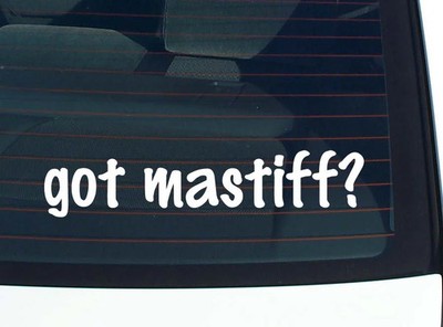 got mastiff? CAR DECAL BUMPER STICKER VINYL FUNNY JOKE WINDOW