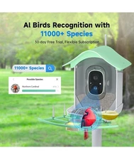 Bird Camera Feeder FHD Smart Al | Bird Recognition, Live Video, & Full Color