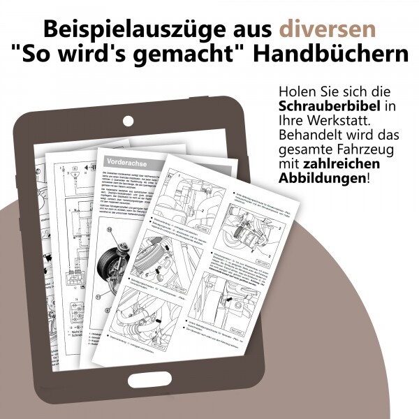 Bild 4 von 12