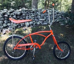 schwinn deluxe
