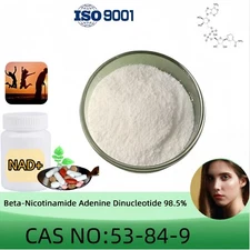 Beta-Nicotinamide Adenine Dinucleotide (NAD+), Purity 98.5% Min, CAS 53-84-9