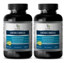 fat burn extreme - GARCINIA CAMBOGIA - energy boost all natural 2B