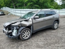 Used Deck Lid fits: 2016 Jeep Cherokee w/rear view camera privacy tint glass Gra