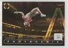 2024 Panini Photogenic WWE Wedges 5/49 Tyler Bate #49