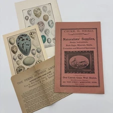 Chas. K Reed Taxidermist & Naturalists' Supplies Catalog w/ Extras Late 1800s