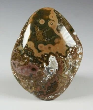 Madagascar Natural Ocean Orbicular Jasper 1.9" x 1.4" / 36g Palm Stone Reiki