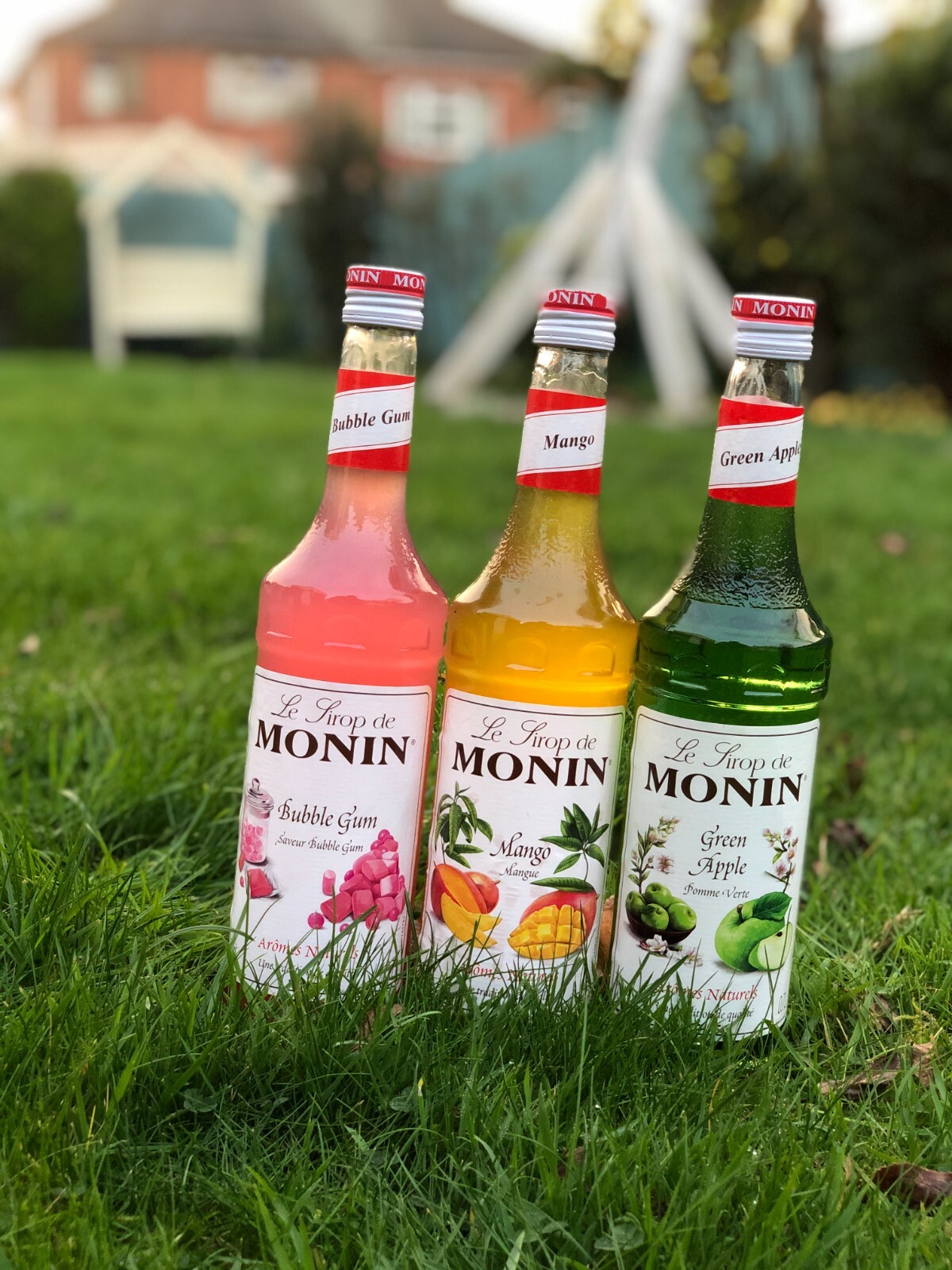 NEW Monin Coffee & Cocktail 70cl/700ml Glass Syrup ALL FLAVOURS USED
