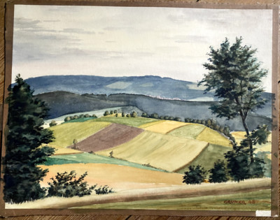 ::WATERCOLOUR / MIXED MEDIA FIELDS TREES BLACK FOREST FIR VALLEY °GRUNER SIGNED