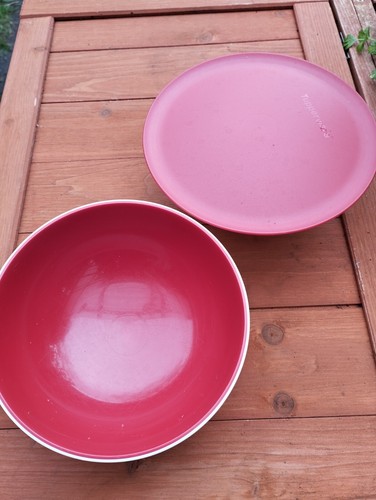Tupperware Allegra 2 Dessertschalen rot/weiß Neu