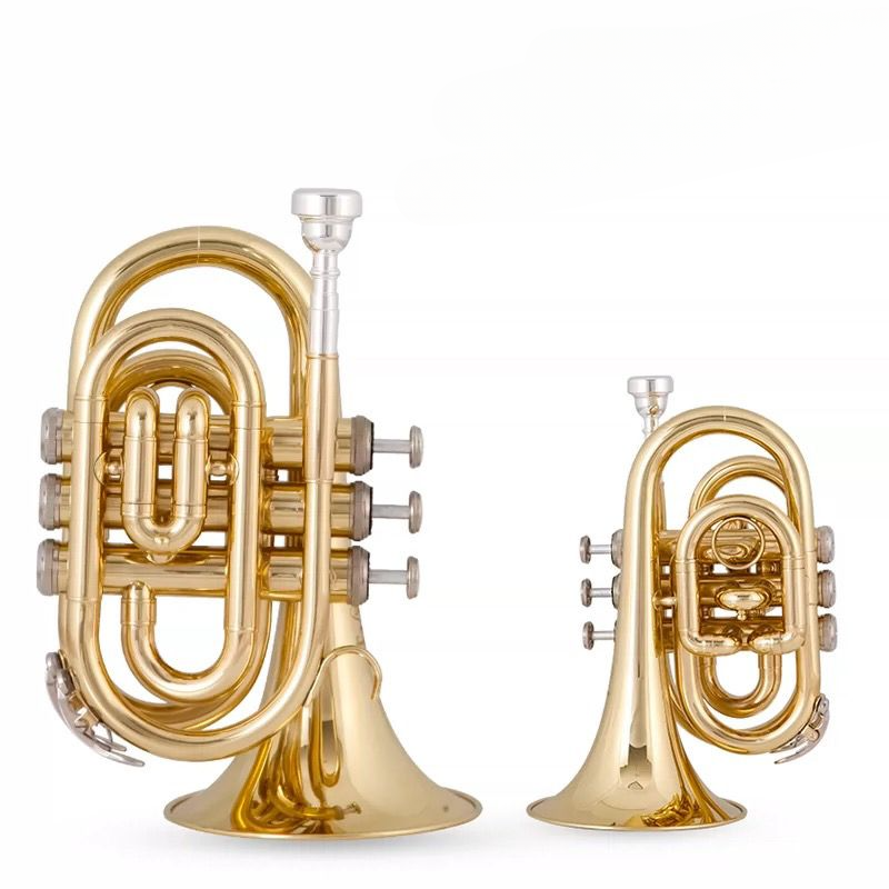 Bach Pocket Trumpet Bflat Trumpet Professional Performance By Beginner