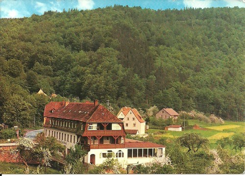 AK Schönau Gemünden am Main Unterfranken - Gaststätte Zum alten Forsthaus - 1966