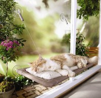 Sunny Seat Window-mounted Cat Bed , New, Free Shipping on sale Sunny Seat Window-mounted Cat Bed , New, Free Shipping on sale