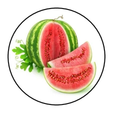 30 1.5"  WATERMELON ROUND STICKERS ENVELOPE SEALS FAVOR LABELS