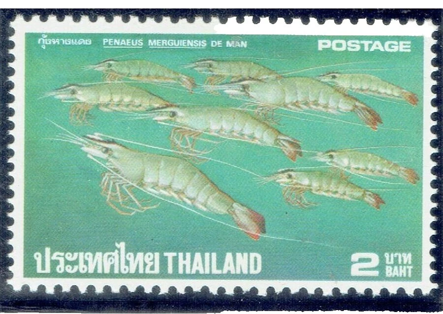 En excelente estado nunca abisagrado/estampillada sin montar o nunca montada Sellos tailandés Mariscos