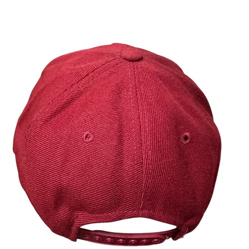 Vintage 1999 Florida State Seminoles National Champions Snapback Maroon Hat - Picture 7 of 11